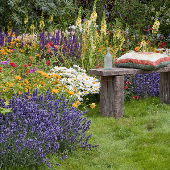 Dayton-Mosquito-Control