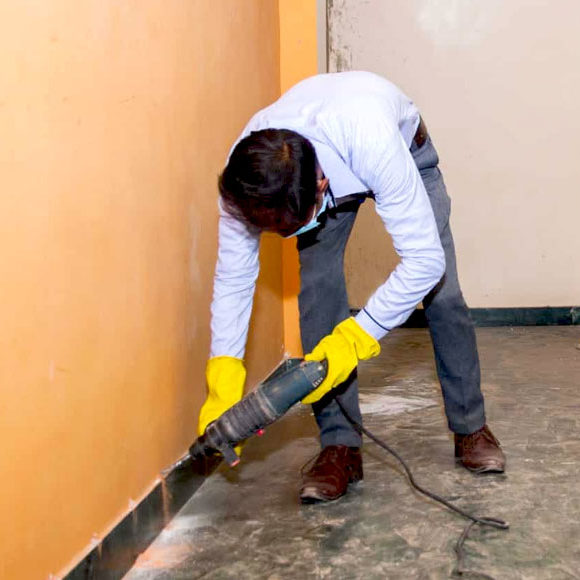 Termite Control last section img