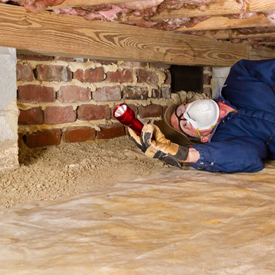 Termite WDI Inspections3