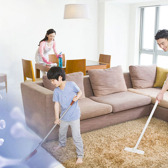 pest-control-dayton-oh