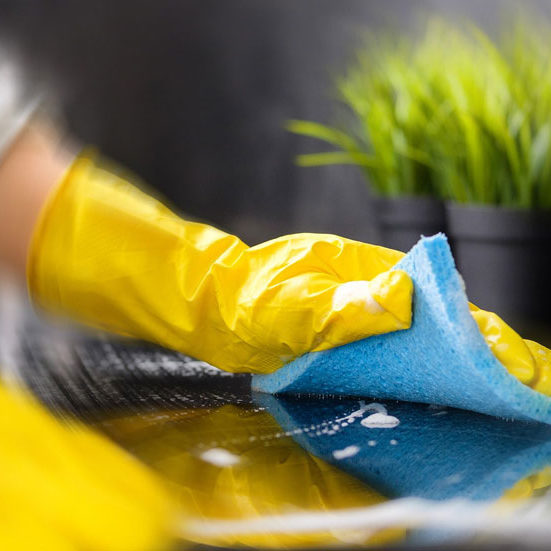 pest-control-dayton-oh