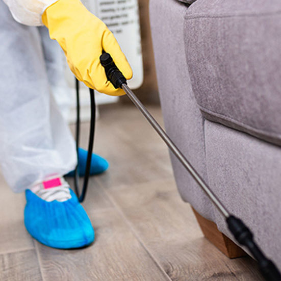 pest-control-dayton-oh