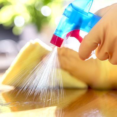 Whole House Sanitizing Treatments 