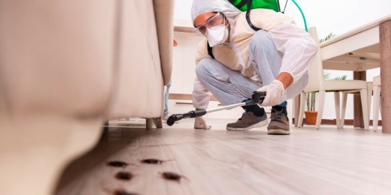 A Homeowners Guide to Pest Control