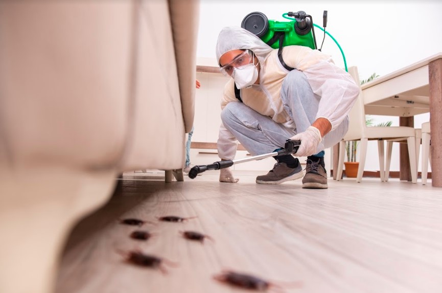 A Homeowners Guide to Pest Control