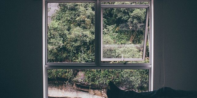 Avoid Mold With These 5 Steps